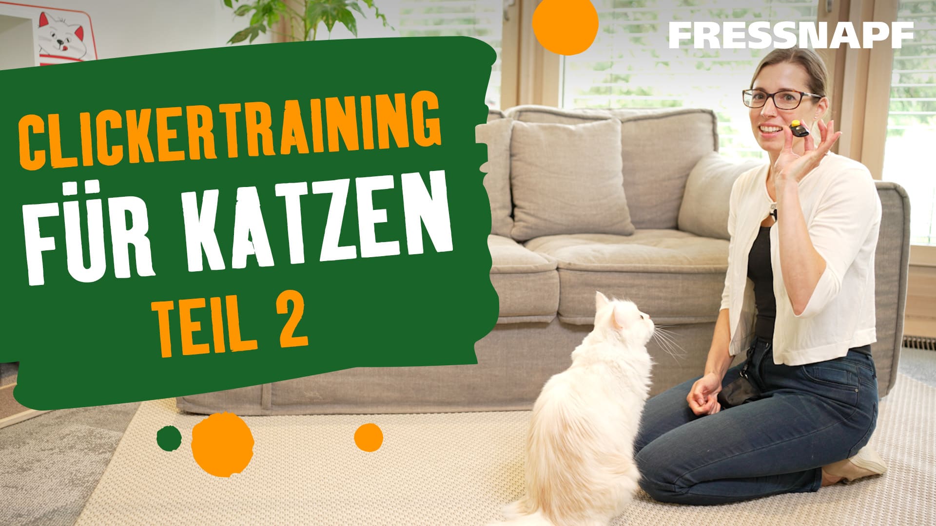 Clickertraining für Katzen Fressnapf Youtube mit Christianne Gasser