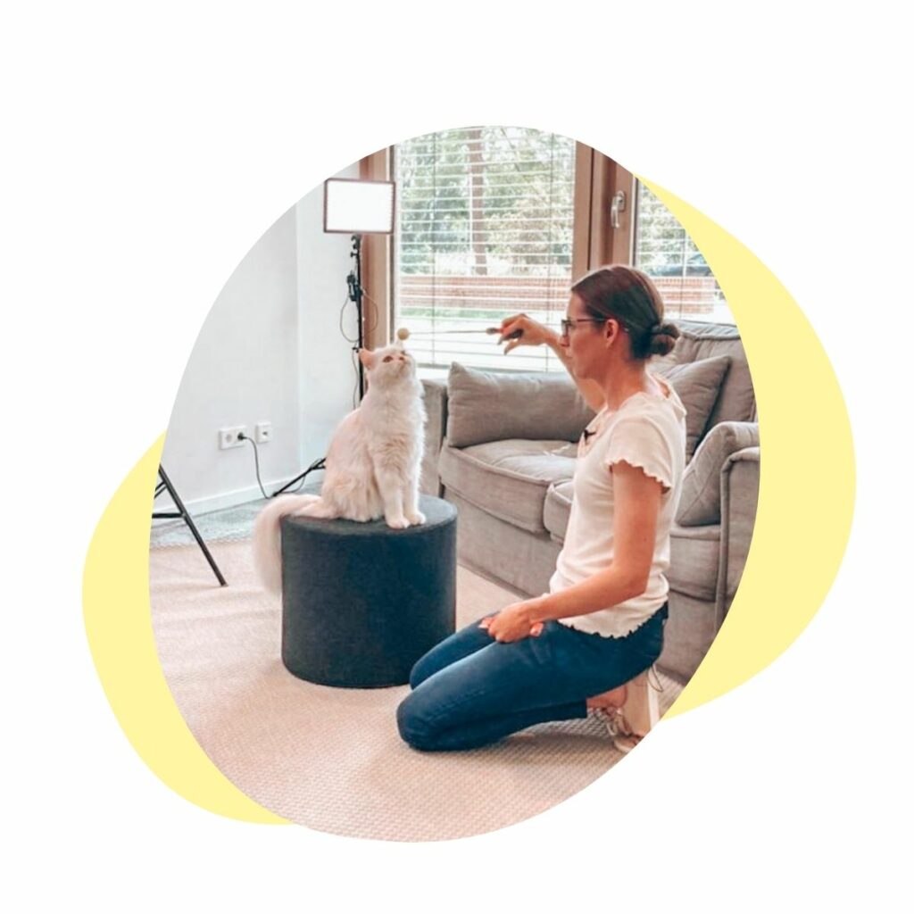 Clickertraining für Katzen mit Christianne Gasser
