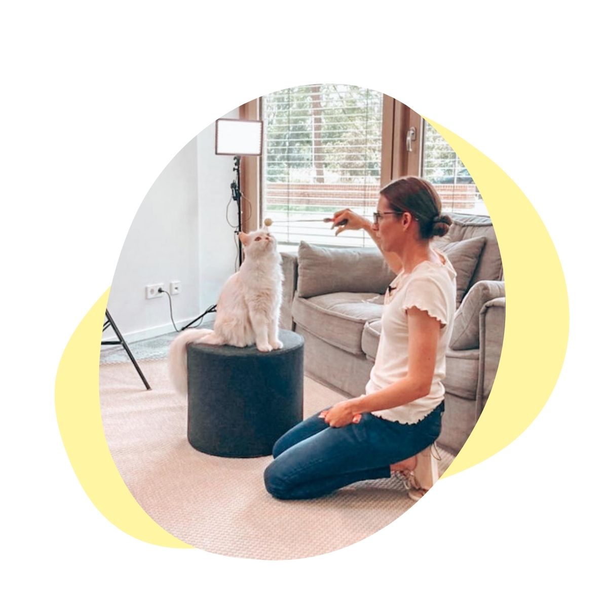 Clickertraining für Katzen mit Christianne Gasser