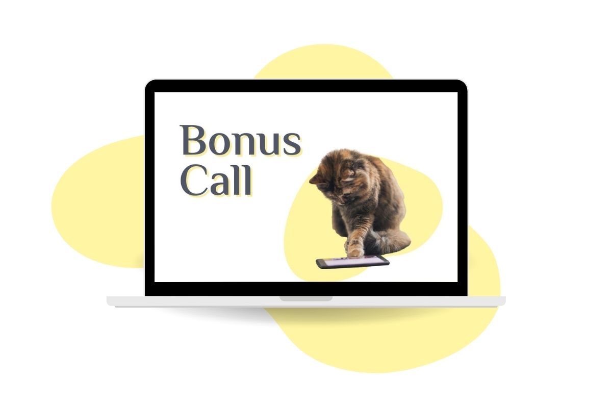 Katzenspaziergang Bonus Call