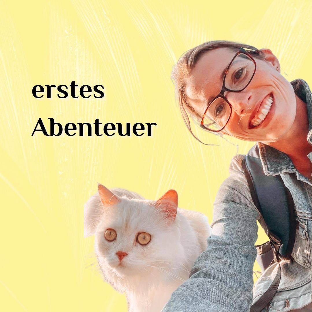 Katzenspaziergang Modul 3 erstes Abenteuer