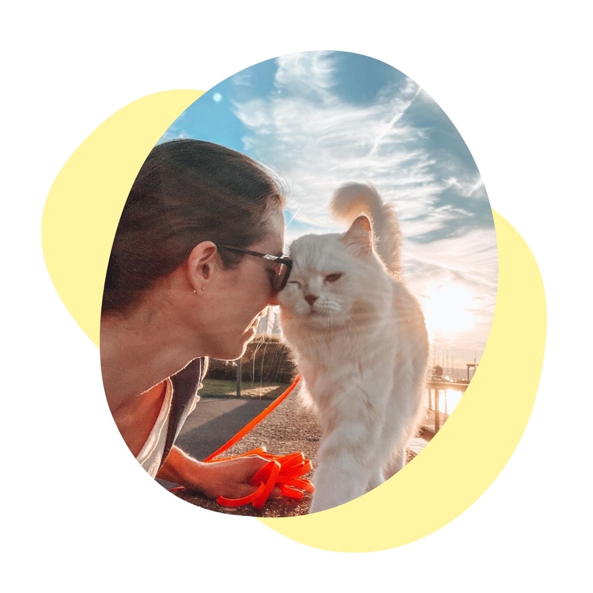Katzenspaziergang mit Christianne Gasser
