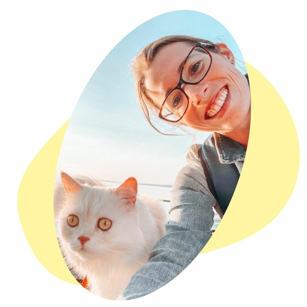 Deep Dive Clickercat Katzentraining
