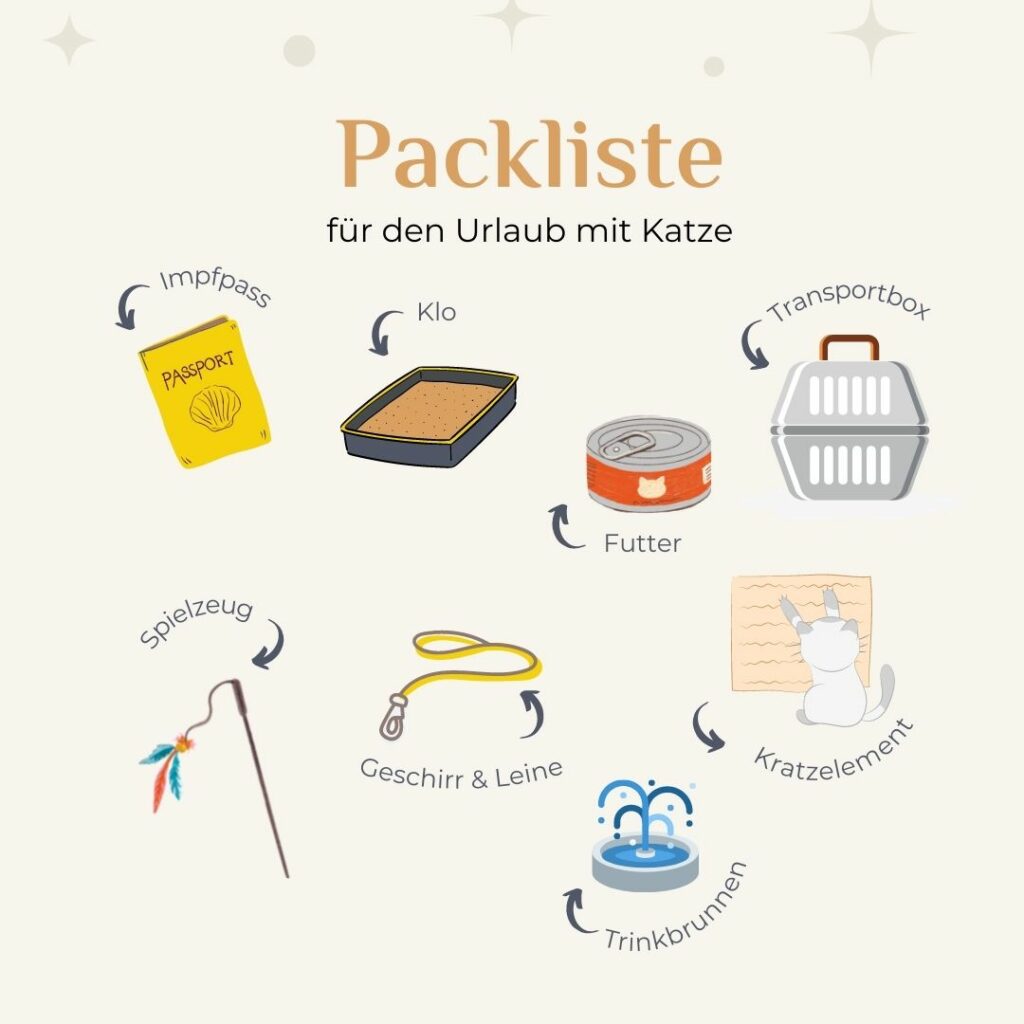 Urlaub mit Katze Packliste