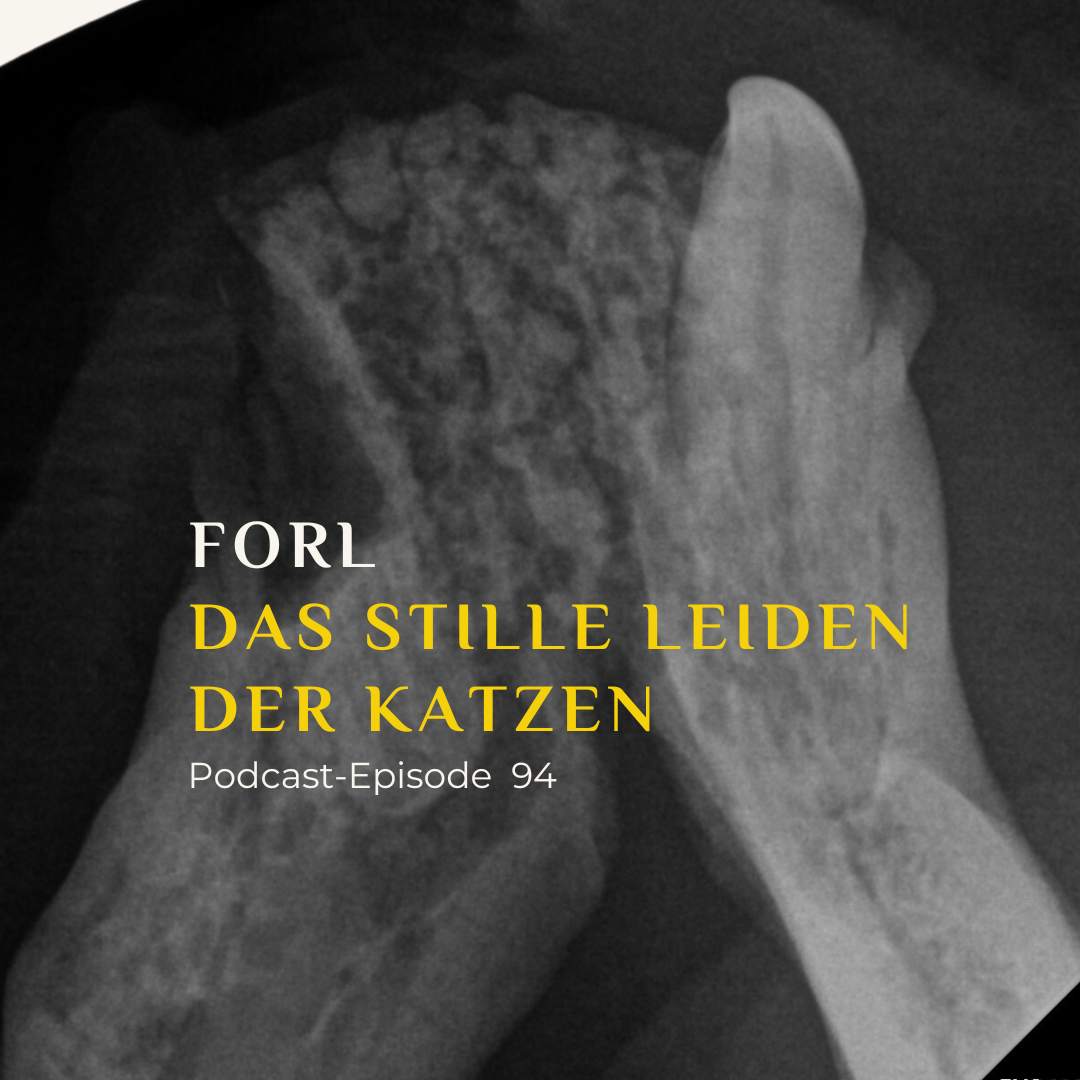 FORL das stille Leiden der Katzen