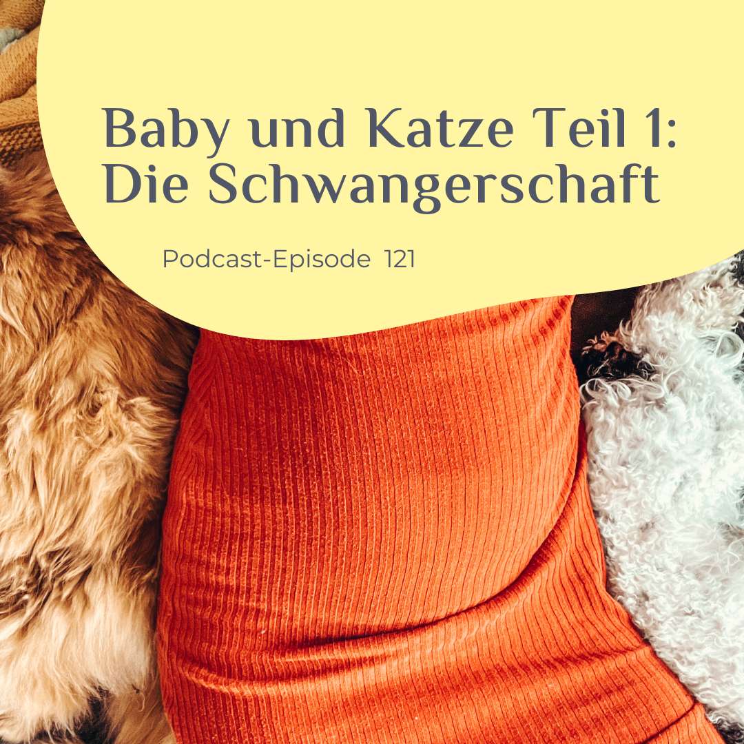 Schwangerschaftsbauch und Katze