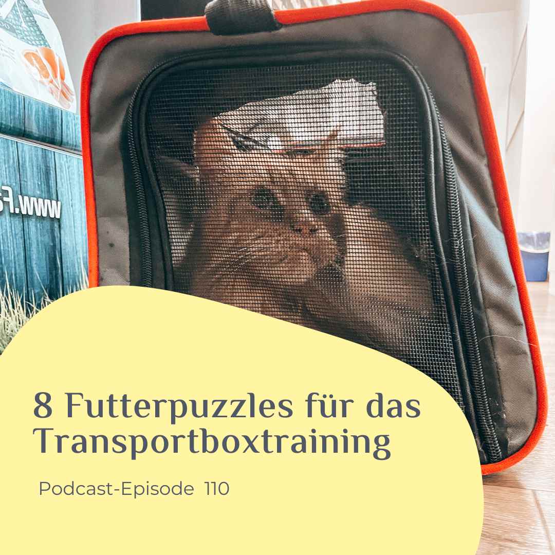 8 Futterpuzzles für das Transportboxtraining