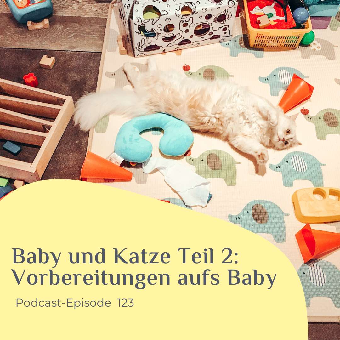 Baby und Katze Vorbereitungen aufs Baby