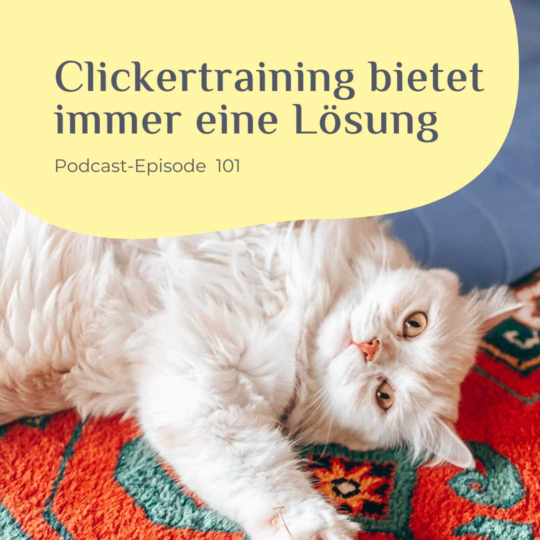 Clickertraining bietet immer eine Lösung