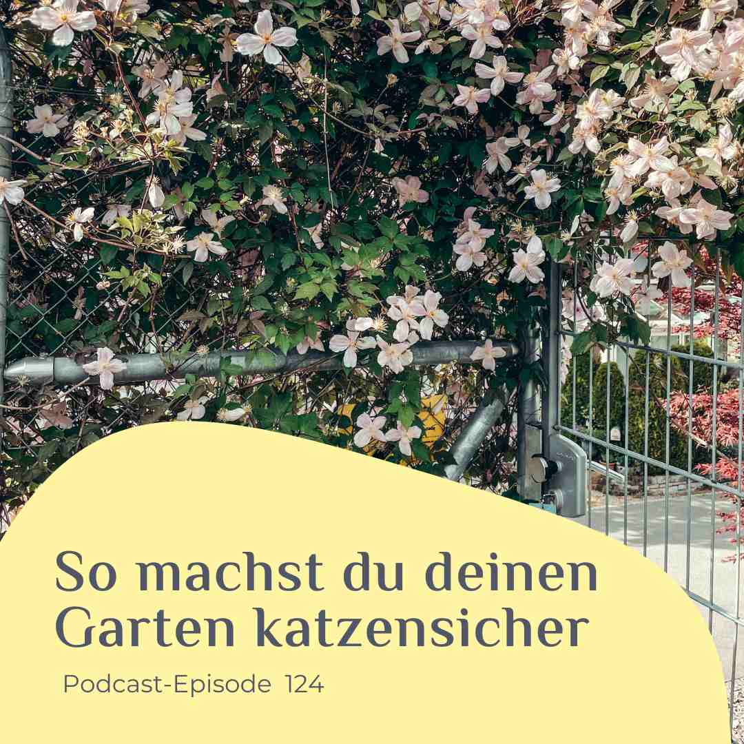Katzensicherer Garten