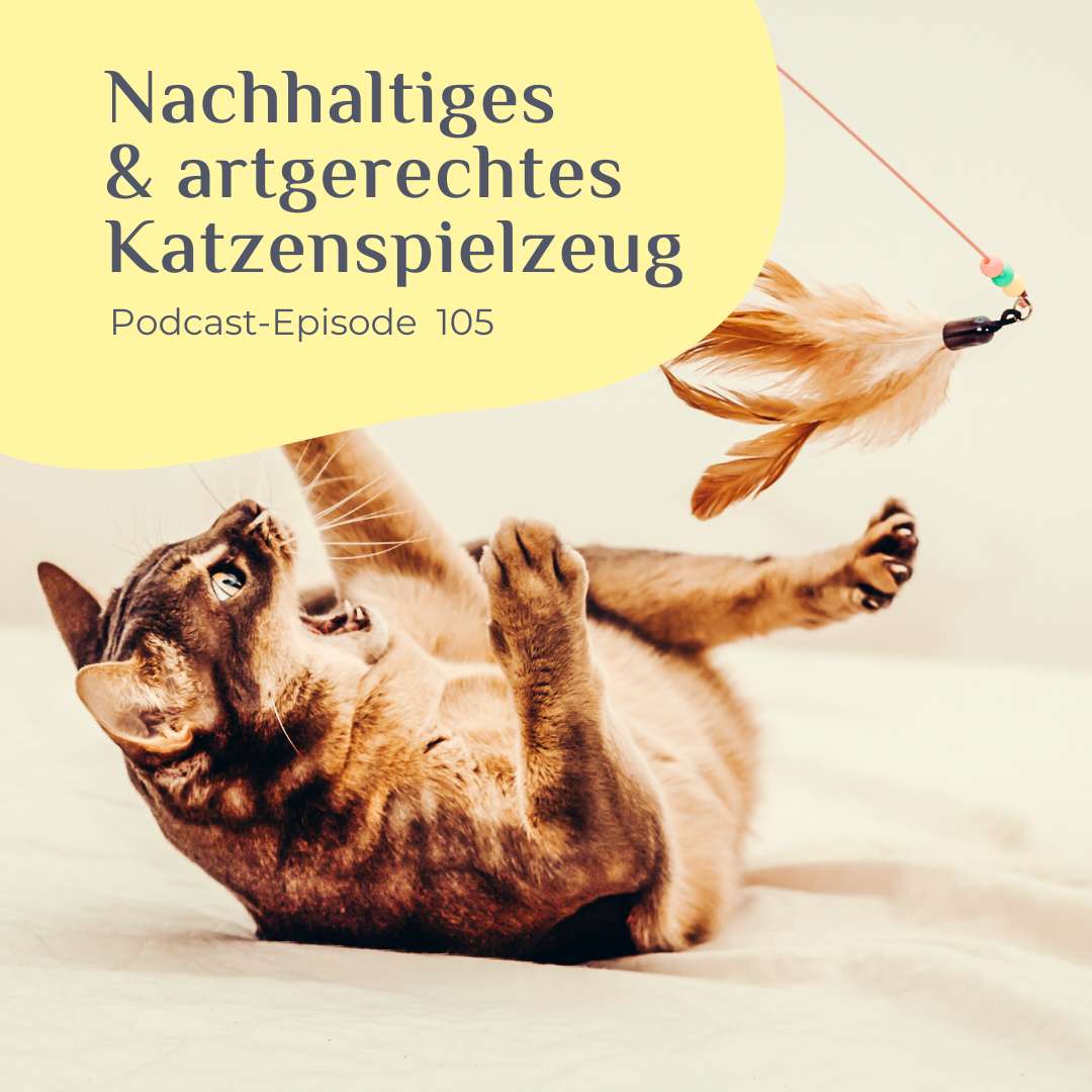 Nachhaltiges und artgerechtes Katzenspielzeug