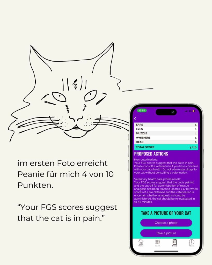 {"type":"elementor","siteurl":"https:\/\/clickercat.mariahoeppner.de\/wp-json\/","elements":[{"id":"378f257","elType":"widget","isInner":false,"isLocked":false,"settings":{"image":{"url":"https:\/\/clickercat.mariahoeppner.de\/wp-content\/uploads\/2024\/05\/Schmerzgesicht-Katze-Ohren-und-Augen.jpg","id":5381,"size":"","alt":"Schmerzgesicht Katze Ohren und Augen","source":"library"},"image_size":"large","image_custom_dimension":{"width":"","height":""},"caption_source":"none","caption":"","link_to":"none","link":{"url":"","is_external":"","nofollow":"","custom_attributes":""},"open_lightbox":"default","align":"","align_tablet":"","align_mobile":"","width":{"unit":"%","size":"","sizes":[]},"width_tablet":{"unit":"%","size":"","sizes":[]},"width_mobile":{"unit":"%","size":"","sizes":[]},"space":{"unit":"%","size":"","sizes":[]},"space_tablet":{"unit":"%","size":"","sizes":[]},"space_mobile":{"unit":"%","size":"","sizes":[]},"height":{"unit":"px","size":"","sizes":[]},"height_tablet":{"unit":"px","size":"","sizes":[]},"height_mobile":{"unit":"px","size":"","sizes":[]},"object-fit":"","object-fit_tablet":"","object-fit_mobile":"","object-position":"center center","object-position_tablet":"","object-position_mobile":"","opacity":{"unit":"px","size":"","sizes":[]},"css_filters_css_filter":"","css_filters_blur":{"unit":"px","size":0,"sizes":[]},"css_filters_brightness":{"unit":"px","size":100,"sizes":[]},"css_filters_contrast":{"unit":"px","size":100,"sizes":[]},"css_filters_saturate":{"unit":"px","size":100,"sizes":[]},"css_filters_hue":{"unit":"px","size":0,"sizes":[]},"opacity_hover":{"unit":"px","size":"","sizes":[]},"css_filters_hover_css_filter":"","css_filters_hover_blur":{"unit":"px","size":0,"sizes":[]},"css_filters_hover_brightness":{"unit":"px","size":100,"sizes":[]},"css_filters_hover_contrast":{"unit":"px","size":100,"sizes":[]},"css_filters_hover_saturate":{"unit":"px","size":100,"sizes":[]},"css_filters_hover_hue":{"unit":"px","size":0,"sizes":[]},"background_hover_transition":{"unit":"px","size":"","sizes":[]},"hover_animation":"","image_border_border":"","image_border_width":{"unit":"px","top":"","right":"","bottom":"","left":"","isLinked":true},"image_border_width_tablet":{"unit":"px","top":"","right":"","bottom":"","left":"","isLinked":true},"image_border_width_mobile":{"unit":"px","top":"","right":"","bottom":"","left":"","isLinked":true},"image_border_color":"","image_border_radius":{"unit":"px","top":"","right":"","bottom":"","left":"","isLinked":true},"image_border_radius_tablet":{"unit":"px","top":"","right":"","bottom":"","left":"","isLinked":true},"image_border_radius_mobile":{"unit":"px","top":"","right":"","bottom":"","left":"","isLinked":true},"image_box_shadow_box_shadow_type":"","image_box_shadow_box_shadow":{"horizontal":0,"vertical":0,"blur":10,"spread":0,"color":"rgba(0,0,0,0.5)"},"caption_align":"","caption_align_tablet":"","caption_align_mobile":"","text_color":"","caption_background_color":"","caption_typography_typography":"","caption_typography_font_family":"","caption_typography_font_size":{"unit":"px","size":"","sizes":[]},"caption_typography_font_size_tablet":{"unit":"px","size":"","sizes":[]},"caption_typography_font_size_mobile":{"unit":"px","size":"","sizes":[]},"caption_typography_font_weight":"","caption_typography_text_transform":"","caption_typography_font_style":"","caption_typography_text_decoration":"","caption_typography_line_height":{"unit":"px","size":"","sizes":[]},"caption_typography_line_height_tablet":{"unit":"em","size":"","sizes":[]},"caption_typography_line_height_mobile":{"unit":"em","size":"","sizes":[]},"caption_typography_letter_spacing":{"unit":"px","size":"","sizes":[]},"caption_typography_letter_spacing_tablet":{"unit":"px","size":"","sizes":[]},"caption_typography_letter_spacing_mobile":{"unit":"px","size":"","sizes":[]},"caption_typography_word_spacing":{"unit":"px","size":"","sizes":[]},"caption_typography_word_spacing_tablet":{"unit":"em","size":"","sizes":[]},"caption_typography_word_spacing_mobile":{"unit":"em","size":"","sizes":[]},"caption_text_shadow_text_shadow_type":"","caption_text_shadow_text_shadow":{"horizontal":0,"vertical":0,"blur":10,"color":"rgba(0,0,0,0.3)"},"caption_space":{"unit":"px","size":"","sizes":[]},"caption_space_tablet":{"unit":"px","size":"","sizes":[]},"caption_space_mobile":{"unit":"px","size":"","sizes":[]},"_title":"","_margin":{"unit":"px","top":"","right":"","bottom":"","left":"","isLinked":true},"_margin_tablet":{"unit":"px","top":"","right":"","bottom":"","left":"","isLinked":true},"_margin_mobile":{"unit":"px","top":"","right":"","bottom":"","left":"","isLinked":true},"_padding":{"unit":"px","top":"","right":"","bottom":"","left":"","isLinked":true},"_padding_tablet":{"unit":"px","top":"","right":"","bottom":"","left":"","isLinked":true},"_padding_mobile":{"unit":"px","top":"","right":"","bottom":"","left":"","isLinked":true},"_element_width":"","_element_width_tablet":"","_element_width_mobile":"","_element_custom_width":{"unit":"%","size":"","sizes":[]},"_element_custom_width_tablet":{"unit":"px","size":"","sizes":[]},"_element_custom_width_mobile":{"unit":"px","size":"","sizes":[]},"_element_vertical_align":"","_element_vertical_align_tablet":"","_element_vertical_align_mobile":"","_position":"","_offset_orientation_h":"start","_offset_x":{"unit":"px","size":0,"sizes":[]},"_offset_x_tablet":{"unit":"px","size":"","sizes":[]},"_offset_x_mobile":{"unit":"px","size":"","sizes":[]},"_offset_x_end":{"unit":"px","size":0,"sizes":[]},"_offset_x_end_tablet":{"unit":"px","size":"","sizes":[]},"_offset_x_end_mobile":{"unit":"px","size":"","sizes":[]},"_offset_orientation_v":"start","_offset_y":{"unit":"px","size":0,"sizes":[]},"_offset_y_tablet":{"unit":"px","size":"","sizes":[]},"_offset_y_mobile":{"unit":"px","size":"","sizes":[]},"_offset_y_end":{"unit":"px","size":0,"sizes":[]},"_offset_y_end_tablet":{"unit":"px","size":"","sizes":[]},"_offset_y_end_mobile":{"unit":"px","size":"","sizes":[]},"_z_index":"","_z_index_tablet":"","_z_index_mobile":"","_element_id":"","_css_classes":"","eael_wrapper_link_switch":"","eael_wrapper_link":{"url":"","is_external":"","nofollow":"","custom_attributes":""},"eael_cl_enable":"","eael_cl_visibility_action":"show","eael_cl_action_apply_if":"all","eael_cl_logics":[{"logic_type":"login_status","login_status_operand":"logged_in","_id":"5e98fbb","dynamic_field":"","logic_operator_dynamic":"between","user_and_role":"","logic_operator_between":"between","dynamic_operand":"","user_role_operand_multi":[],"user_operand":"","post_type_operand":"","post_operand":"","post_operand_post":"","post_operand_page":"","post_operand_e-landing-page":"","browser_operand":"chrome","date_time_logic":"equal","single_date":"","from_date":"","to_date":"","recurring_day_logic":"between","recurring_days_all":"","recurring_days":["sun"],"recurring_days_duration_from":"","recurring_days_duration_to":"","from_time":"","to_time":"","query_key":"","query_value":"","user_visit_count_type":"less","user_visit_count":3}],"motion_fx_motion_fx_scrolling":"","motion_fx_translateY_effect":"","motion_fx_translateY_direction":"","motion_fx_translateY_speed":{"unit":"px","size":4,"sizes":[]},"motion_fx_translateY_affectedRange":{"unit":"%","size":"","sizes":{"start":0,"end":100}},"motion_fx_translateX_effect":"","motion_fx_translateX_direction":"","motion_fx_translateX_speed":{"unit":"px","size":4,"sizes":[]},"motion_fx_translateX_affectedRange":{"unit":"%","size":"","sizes":{"start":0,"end":100}},"motion_fx_opacity_effect":"","motion_fx_opacity_direction":"out-in","motion_fx_opacity_level":{"unit":"px","size":10,"sizes":[]},"motion_fx_opacity_range":{"unit":"%","size":"","sizes":{"start":20,"end":80}},"motion_fx_blur_effect":"","motion_fx_blur_direction":"out-in","motion_fx_blur_level":{"unit":"px","size":7,"sizes":[]},"motion_fx_blur_range":{"unit":"%","size":"","sizes":{"start":20,"end":80}},"motion_fx_rotateZ_effect":"","motion_fx_rotateZ_direction":"","motion_fx_rotateZ_speed":{"unit":"px","size":1,"sizes":[]},"motion_fx_rotateZ_affectedRange":{"unit":"%","size":"","sizes":{"start":0,"end":100}},"motion_fx_scale_effect":"","motion_fx_scale_direction":"out-in","motion_fx_scale_speed":{"unit":"px","size":4,"sizes":[]},"motion_fx_scale_range":{"unit":"%","size":"","sizes":{"start":20,"end":80}},"motion_fx_transform_origin_x":"center","motion_fx_transform_origin_y":"center","motion_fx_devices":["desktop","tablet","mobile"],"motion_fx_range":"","motion_fx_motion_fx_mouse":"","motion_fx_mouseTrack_effect":"","motion_fx_mouseTrack_direction":"","motion_fx_mouseTrack_speed":{"unit":"px","size":1,"sizes":[]},"motion_fx_tilt_effect":"","motion_fx_tilt_direction":"","motion_fx_tilt_speed":{"unit":"px","size":4,"sizes":[]},"sticky":"","sticky_on":["desktop","tablet","mobile"],"sticky_offset":0,"sticky_offset_tablet":"","sticky_offset_mobile":"","sticky_effects_offset":0,"sticky_effects_offset_tablet":"","sticky_effects_offset_mobile":"","sticky_parent":"","_animation":"","_animation_tablet":"","_animation_mobile":"","animation_duration":"","_animation_delay":"","_transform_rotate_popover":"","_transform_rotateZ_effect":{"unit":"px","size":"","sizes":[]},"_transform_rotateZ_effect_tablet":{"unit":"deg","size":"","sizes":[]},"_transform_rotateZ_effect_mobile":{"unit":"deg","size":"","sizes":[]},"_transform_rotate_3d":"","_transform_rotateX_effect":{"unit":"px","size":"","sizes":[]},"_transform_rotateX_effect_tablet":{"unit":"deg","size":"","sizes":[]},"_transform_rotateX_effect_mobile":{"unit":"deg","size":"","sizes":[]},"_transform_rotateY_effect":{"unit":"px","size":"","sizes":[]},"_transform_rotateY_effect_tablet":{"unit":"deg","size":"","sizes":[]},"_transform_rotateY_effect_mobile":{"unit":"deg","size":"","sizes":[]},"_transform_perspective_effect":{"unit":"px","size":"","sizes":[]},"_transform_perspective_effect_tablet":{"unit":"px","size":"","sizes":[]},"_transform_perspective_effect_mobile":{"unit":"px","size":"","sizes":[]},"_transform_translate_popover":"","_transform_translateX_effect":{"unit":"px","size":"","sizes":[]},"_transform_translateX_effect_tablet":{"unit":"px","size":"","sizes":[]},"_transform_translateX_effect_mobile":{"unit":"px","size":"","sizes":[]},"_transform_translateY_effect":{"unit":"px","size":"","sizes":[]},"_transform_translateY_effect_tablet":{"unit":"px","size":"","sizes":[]},"_transform_translateY_effect_mobile":{"unit":"px","size":"","sizes":[]},"_transform_scale_popover":"","_transform_keep_proportions":"yes","_transform_scale_effect":{"unit":"px","size":"","sizes":[]},"_transform_scale_effect_tablet":{"unit":"px","size":"","sizes":[]},"_transform_scale_effect_mobile":{"unit":"px","size":"","sizes":[]},"_transform_scaleX_effect":{"unit":"px","size":"","sizes":[]},"_transform_scaleX_effect_tablet":{"unit":"px","size":"","sizes":[]},"_transform_scaleX_effect_mobile":{"unit":"px","size":"","sizes":[]},"_transform_scaleY_effect":{"unit":"px","size":"","sizes":[]},"_transform_scaleY_effect_tablet":{"unit":"px","size":"","sizes":[]},"_transform_scaleY_effect_mobile":{"unit":"px","size":"","sizes":[]},"_transform_skew_popover":"","_transform_skewX_effect":{"unit":"px","size":"","sizes":[]},"_transform_skewX_effect_tablet":{"unit":"deg","size":"","sizes":[]},"_transform_skewX_effect_mobile":{"unit":"deg","size":"","sizes":[]},"_transform_skewY_effect":{"unit":"px","size":"","sizes":[]},"_transform_skewY_effect_tablet":{"unit":"deg","size":"","sizes":[]},"_transform_skewY_effect_mobile":{"unit":"deg","size":"","sizes":[]},"_transform_flipX_effect":"","_transform_flipY_effect":"","_transform_rotate_popover_hover":"","_transform_rotateZ_effect_hover":{"unit":"px","size":"","sizes":[]},"_transform_rotateZ_effect_hover_tablet":{"unit":"deg","size":"","sizes":[]},"_transform_rotateZ_effect_hover_mobile":{"unit":"deg","size":"","sizes":[]},"_transform_rotate_3d_hover":"","_transform_rotateX_effect_hover":{"unit":"px","size":"","sizes":[]},"_transform_rotateX_effect_hover_tablet":{"unit":"deg","size":"","sizes":[]},"_transform_rotateX_effect_hover_mobile":{"unit":"deg","size":"","sizes":[]},"_transform_rotateY_effect_hover":{"unit":"px","size":"","sizes":[]},"_transform_rotateY_effect_hover_tablet":{"unit":"deg","size":"","sizes":[]},"_transform_rotateY_effect_hover_mobile":{"unit":"deg","size":"","sizes":[]},"_transform_perspective_effect_hover":{"unit":"px","size":"","sizes":[]},"_transform_perspective_effect_hover_tablet":{"unit":"px","size":"","sizes":[]},"_transform_perspective_effect_hover_mobile":{"unit":"px","size":"","sizes":[]},"_transform_translate_popover_hover":"","_transform_translateX_effect_hover":{"unit":"px","size":"","sizes":[]},"_transform_translateX_effect_hover_tablet":{"unit":"px","size":"","sizes":[]},"_transform_translateX_effect_hover_mobile":{"unit":"px","size":"","sizes":[]},"_transform_translateY_effect_hover":{"unit":"px","size":"","sizes":[]},"_transform_translateY_effect_hover_tablet":{"unit":"px","size":"","sizes":[]},"_transform_translateY_effect_hover_mobile":{"unit":"px","size":"","sizes":[]},"_transform_scale_popover_hover":"","_transform_keep_proportions_hover":"yes","_transform_scale_effect_hover":{"unit":"px","size":"","sizes":[]},"_transform_scale_effect_hover_tablet":{"unit":"px","size":"","sizes":[]},"_transform_scale_effect_hover_mobile":{"unit":"px","size":"","sizes":[]},"_transform_scaleX_effect_hover":{"unit":"px","size":"","sizes":[]},"_transform_scaleX_effect_hover_tablet":{"unit":"px","size":"","sizes":[]},"_transform_scaleX_effect_hover_mobile":{"unit":"px","size":"","sizes":[]},"_transform_scaleY_effect_hover":{"unit":"px","size":"","sizes":[]},"_transform_scaleY_effect_hover_tablet":{"unit":"px","size":"","sizes":[]},"_transform_scaleY_effect_hover_mobile":{"unit":"px","size":"","sizes":[]},"_transform_skew_popover_hover":"","_transform_skewX_effect_hover":{"unit":"px","size":"","sizes":[]},"_transform_skewX_effect_hover_tablet":{"unit":"deg","size":"","sizes":[]},"_transform_skewX_effect_hover_mobile":{"unit":"deg","size":"","sizes":[]},"_transform_skewY_effect_hover":{"unit":"px","size":"","sizes":[]},"_transform_skewY_effect_hover_tablet":{"unit":"deg","size":"","sizes":[]},"_transform_skewY_effect_hover_mobile":{"unit":"deg","size":"","sizes":[]},"_transform_flipX_effect_hover":"","_transform_flipY_effect_hover":"","_transform_transition_hover":{"unit":"px","size":"","sizes":[]},"motion_fx_transform_x_anchor_point":"","motion_fx_transform_x_anchor_point_tablet":"","motion_fx_transform_x_anchor_point_mobile":"","motion_fx_transform_y_anchor_point":"","motion_fx_transform_y_anchor_point_tablet":"","motion_fx_transform_y_anchor_point_mobile":"","_background_background":"","_background_color":"","_background_color_stop":{"unit":"%","size":0,"sizes":[]},"_background_color_stop_tablet":{"unit":"%"},"_background_color_stop_mobile":{"unit":"%"},"_background_color_b":"#f2295b","_background_color_b_stop":{"unit":"%","size":100,"sizes":[]},"_background_color_b_stop_tablet":{"unit":"%"},"_background_color_b_stop_mobile":{"unit":"%"},"_background_gradient_type":"linear","_background_gradient_angle":{"unit":"deg","size":180,"sizes":[]},"_background_gradient_angle_tablet":{"unit":"deg"},"_background_gradient_angle_mobile":{"unit":"deg"},"_background_gradient_position":"center center","_background_gradient_position_tablet":"","_background_gradient_position_mobile":"","_background_image":{"url":"","id":"","size":""},"_background_image_tablet":{"url":"","id":"","size":""},"_background_image_mobile":{"url":"","id":"","size":""},"_background_position":"","_background_position_tablet":"","_background_position_mobile":"","_background_xpos":{"unit":"px","size":0,"sizes":[]},"_background_xpos_tablet":{"unit":"px","size":0,"sizes":[]},"_background_xpos_mobile":{"unit":"px","size":0,"sizes":[]},"_background_ypos":{"unit":"px","size":0,"sizes":[]},"_background_ypos_tablet":{"unit":"px","size":0,"sizes":[]},"_background_ypos_mobile":{"unit":"px","size":0,"sizes":[]},"_background_attachment":"","_background_repeat":"","_background_repeat_tablet":"","_background_repeat_mobile":"","_background_size":"","_background_size_tablet":"","_background_size_mobile":"","_background_bg_width":{"unit":"%","size":100,"sizes":[]},"_background_bg_width_tablet":{"unit":"px","size":"","sizes":[]},"_background_bg_width_mobile":{"unit":"px","size":"","sizes":[]},"_background_video_link":"","_background_video_start":"","_background_video_end":"","_background_play_once":"","_background_play_on_mobile":"","_background_privacy_mode":"","_background_video_fallback":{"url":"","id":"","size":""},"_background_slideshow_gallery":[],"_background_slideshow_loop":"yes","_background_slideshow_slide_duration":5000,"_background_slideshow_slide_transition":"fade","_background_slideshow_transition_duration":500,"_background_slideshow_background_size":"","_background_slideshow_background_size_tablet":"","_background_slideshow_background_size_mobile":"","_background_slideshow_background_position":"","_background_slideshow_background_position_tablet":"","_background_slideshow_background_position_mobile":"","_background_slideshow_lazyload":"","_background_slideshow_ken_burns":"","_background_slideshow_ken_burns_zoom_direction":"in","_background_hover_background":"","_background_hover_color":"","_background_hover_color_stop":{"unit":"%","size":0,"sizes":[]},"_background_hover_color_stop_tablet":{"unit":"%"},"_background_hover_color_stop_mobile":{"unit":"%"},"_background_hover_color_b":"#f2295b","_background_hover_color_b_stop":{"unit":"%","size":100,"sizes":[]},"_background_hover_color_b_stop_tablet":{"unit":"%"},"_background_hover_color_b_stop_mobile":{"unit":"%"},"_background_hover_gradient_type":"linear","_background_hover_gradient_angle":{"unit":"deg","size":180,"sizes":[]},"_background_hover_gradient_angle_tablet":{"unit":"deg"},"_background_hover_gradient_angle_mobile":{"unit":"deg"},"_background_hover_gradient_position":"center center","_background_hover_gradient_position_tablet":"","_background_hover_gradient_position_mobile":"","_background_hover_image":{"url":"","id":"","size":""},"_background_hover_image_tablet":{"url":"","id":"","size":""},"_background_hover_image_mobile":{"url":"","id":"","size":""},"_background_hover_position":"","_background_hover_position_tablet":"","_background_hover_position_mobile":"","_background_hover_xpos":{"unit":"px","size":0,"sizes":[]},"_background_hover_xpos_tablet":{"unit":"px","size":0,"sizes":[]},"_background_hover_xpos_mobile":{"unit":"px","size":0,"sizes":[]},"_background_hover_ypos":{"unit":"px","size":0,"sizes":[]},"_background_hover_ypos_tablet":{"unit":"px","size":0,"sizes":[]},"_background_hover_ypos_mobile":{"unit":"px","size":0,"sizes":[]},"_background_hover_attachment":"","_background_hover_repeat":"","_background_hover_repeat_tablet":"","_background_hover_repeat_mobile":"","_background_hover_size":"","_background_hover_size_tablet":"","_background_hover_size_mobile":"","_background_hover_bg_width":{"unit":"%","size":100,"sizes":[]},"_background_hover_bg_width_tablet":{"unit":"px","size":"","sizes":[]},"_background_hover_bg_width_mobile":{"unit":"px","size":"","sizes":[]},"_background_hover_video_link":"","_background_hover_video_start":"","_background_hover_video_end":"","_background_hover_play_once":"","_background_hover_play_on_mobile":"","_background_hover_privacy_mode":"","_background_hover_video_fallback":{"url":"","id":"","size":""},"_background_hover_slideshow_gallery":[],"_background_hover_slideshow_loop":"yes","_background_hover_slideshow_slide_duration":5000,"_background_hover_slideshow_slide_transition":"fade","_background_hover_slideshow_transition_duration":500,"_background_hover_slideshow_background_size":"","_background_hover_slideshow_background_size_tablet":"","_background_hover_slideshow_background_size_mobile":"","_background_hover_slideshow_background_position":"","_background_hover_slideshow_background_position_tablet":"","_background_hover_slideshow_background_position_mobile":"","_background_hover_slideshow_lazyload":"","_background_hover_slideshow_ken_burns":"","_background_hover_slideshow_ken_burns_zoom_direction":"in","_background_hover_transition":{"unit":"px","size":"","sizes":[]},"_border_border":"","_border_width":{"unit":"px","top":"","right":"","bottom":"","left":"","isLinked":true},"_border_width_tablet":{"unit":"px","top":"","right":"","bottom":"","left":"","isLinked":true},"_border_width_mobile":{"unit":"px","top":"","right":"","bottom":"","left":"","isLinked":true},"_border_color":"","_border_radius":{"unit":"px","top":"","right":"","bottom":"","left":"","isLinked":true},"_border_radius_tablet":{"unit":"px","top":"","right":"","bottom":"","left":"","isLinked":true},"_border_radius_mobile":{"unit":"px","top":"","right":"","bottom":"","left":"","isLinked":true},"_box_shadow_box_shadow_type":"","_box_shadow_box_shadow":{"horizontal":0,"vertical":0,"blur":10,"spread":0,"color":"rgba(0,0,0,0.5)"},"_box_shadow_box_shadow_position":" ","_border_hover_border":"","_border_hover_width":{"unit":"px","top":"","right":"","bottom":"","left":"","isLinked":true},"_border_hover_width_tablet":{"unit":"px","top":"","right":"","bottom":"","left":"","isLinked":true},"_border_hover_width_mobile":{"unit":"px","top":"","right":"","bottom":"","left":"","isLinked":true},"_border_hover_color":"","_border_radius_hover":{"unit":"px","top":"","right":"","bottom":"","left":"","isLinked":true},"_border_radius_hover_tablet":{"unit":"px","top":"","right":"","bottom":"","left":"","isLinked":true},"_border_radius_hover_mobile":{"unit":"px","top":"","right":"","bottom":"","left":"","isLinked":true},"_box_shadow_hover_box_shadow_type":"","_box_shadow_hover_box_shadow":{"horizontal":0,"vertical":0,"blur":10,"spread":0,"color":"rgba(0,0,0,0.5)"},"_box_shadow_hover_box_shadow_position":" ","_border_hover_transition":{"unit":"px","size":"","sizes":[]},"_mask_switch":"","_mask_shape":"circle","_mask_image":{"url":"","id":"","size":""},"_mask_notice":"","_mask_size":"contain","_mask_size_tablet":"","_mask_size_mobile":"","_mask_size_scale":{"unit":"%","size":100,"sizes":[]},"_mask_size_scale_tablet":{"unit":"px","size":"","sizes":[]},"_mask_size_scale_mobile":{"unit":"px","size":"","sizes":[]},"_mask_position":"center center","_mask_position_tablet":"","_mask_position_mobile":"","_mask_position_x":{"unit":"%","size":0,"sizes":[]},"_mask_position_x_tablet":{"unit":"px","size":"","sizes":[]},"_mask_position_x_mobile":{"unit":"px","size":"","sizes":[]},"_mask_position_y":{"unit":"%","size":0,"sizes":[]},"_mask_position_y_tablet":{"unit":"px","size":"","sizes":[]},"_mask_position_y_mobile":{"unit":"px","size":"","sizes":[]},"_mask_repeat":"no-repeat","_mask_repeat_tablet":"","_mask_repeat_mobile":"","hide_desktop":"","hide_tablet":"","hide_mobile":"","_attributes":"","custom_css":""},"defaultEditSettings":{"defaultEditRoute":"content"},"elements":[],"widgetType":"image","editSettings":{"defaultEditRoute":"content","panel":{"activeTab":"content","activeSection":"section_image"}},"htmlCache":""}]}