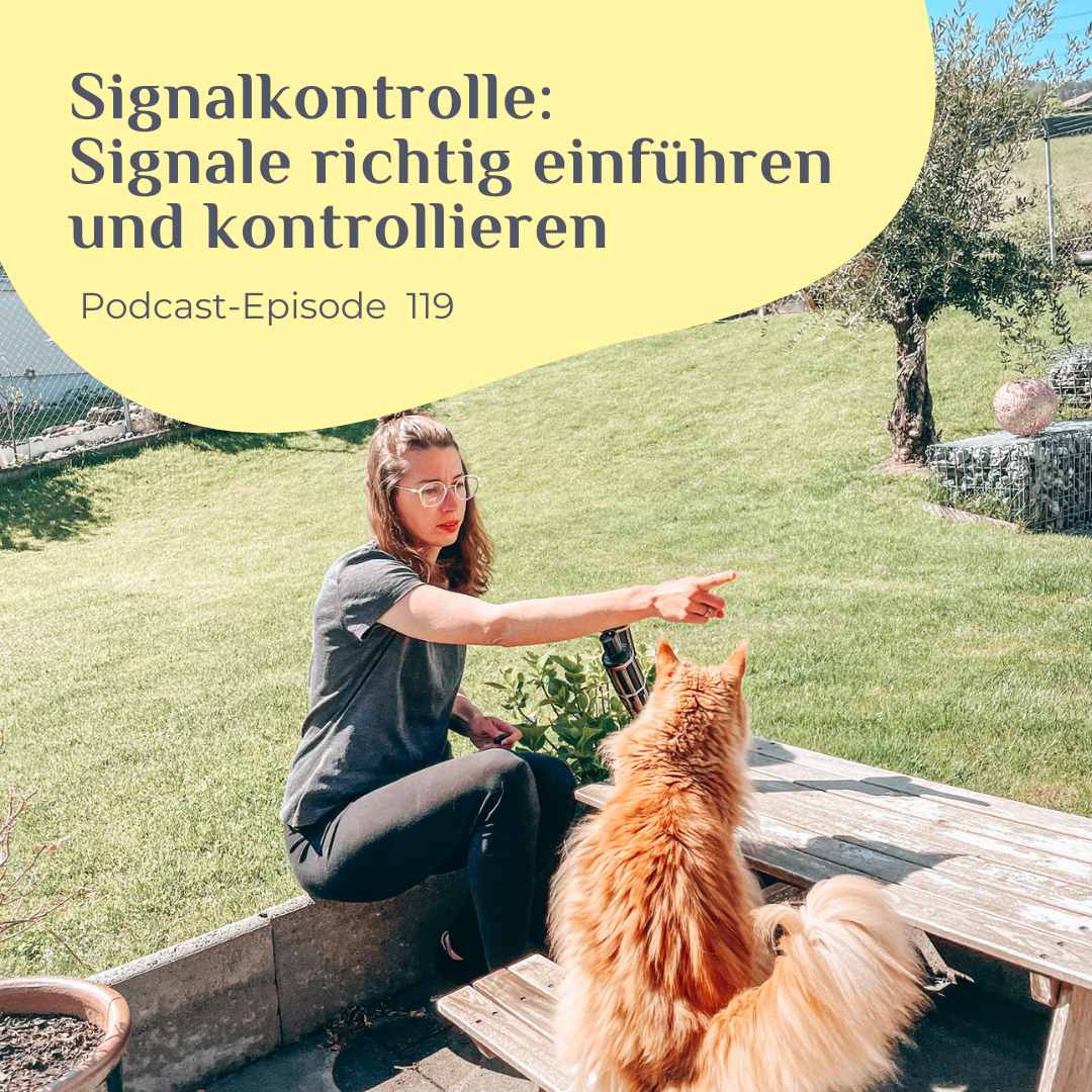 Signalkontrolle Signale richtig einführen und kontrollieren