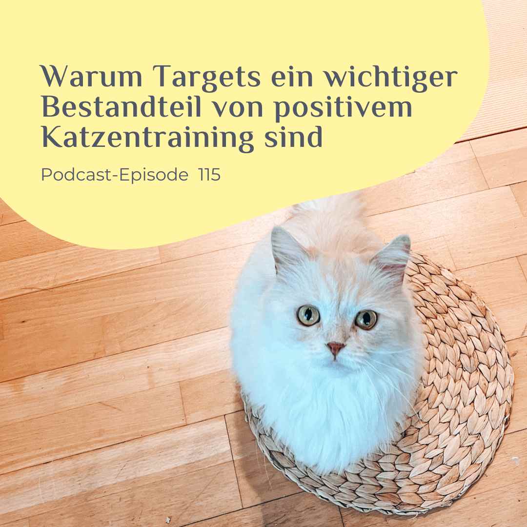 Warum Targets ein wichtiger Bestandteil von positivem Katzentraining sind
