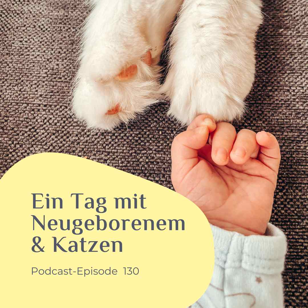 Ein Tag mit Neugeborenem und Katzen