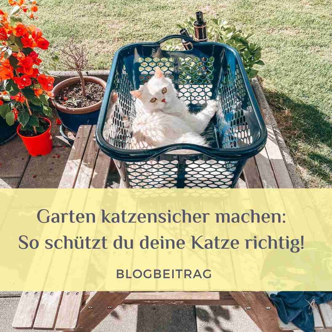 katzensicherer garten bilder