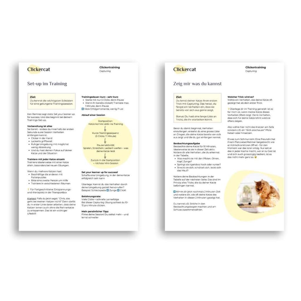 3TCC Workbook