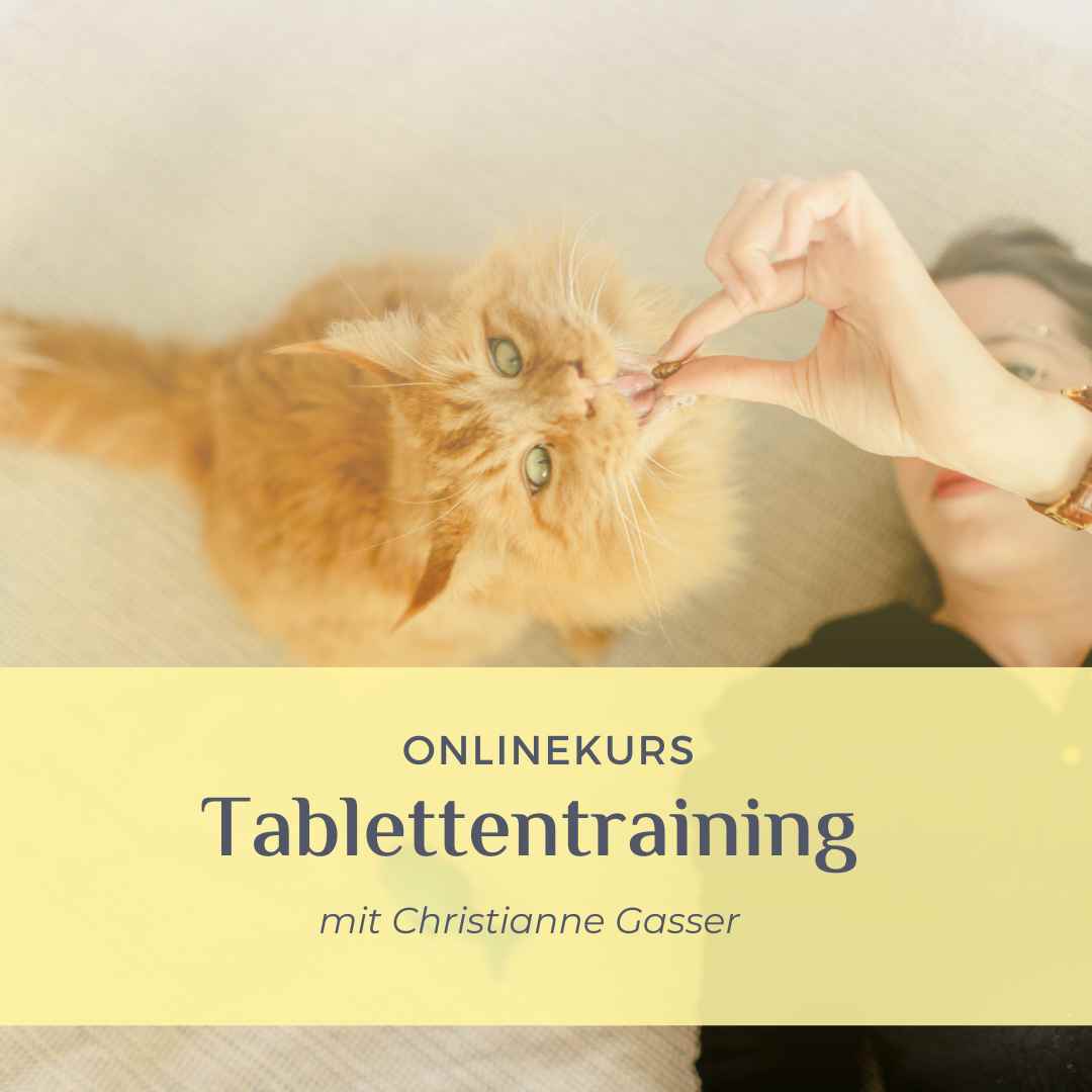 Tablettentraining