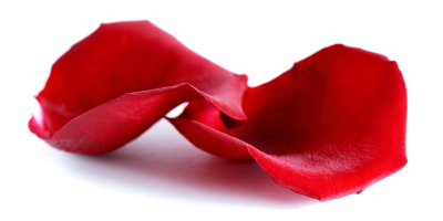 Rosenblatt rot